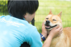【Yogibo Tanzaqプロジェクトに採択されました】 保護犬の認知向上とイメージアッププロジェクトを開始