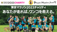 東京マラソン2023を通じてピースワンコを支援していただける方を大募集！