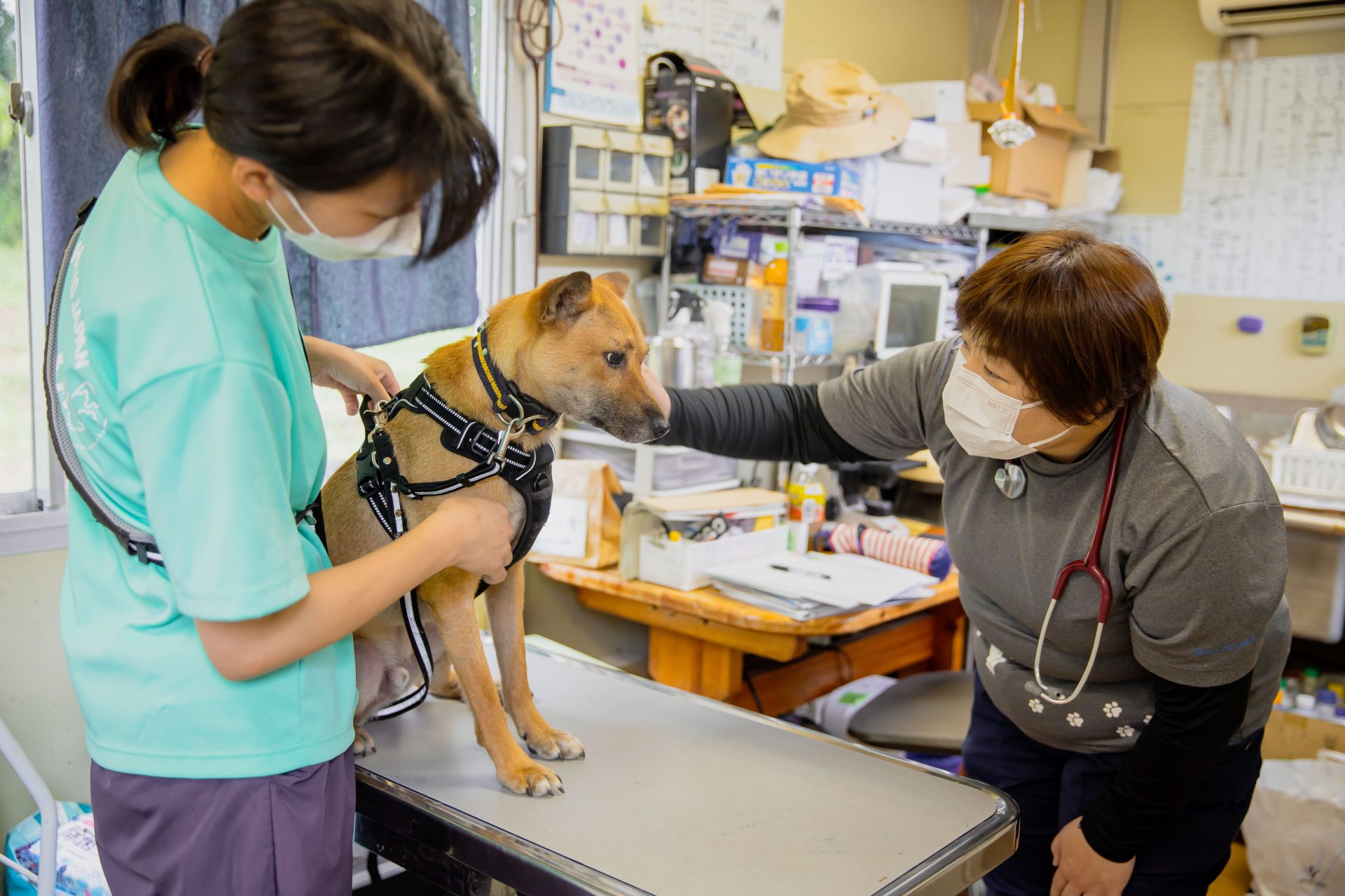 ピースワンコの診療所にて保護犬と獣医、スタッフ